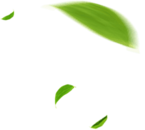 青州市亦點農(nóng)業(yè)科技有限公司介紹